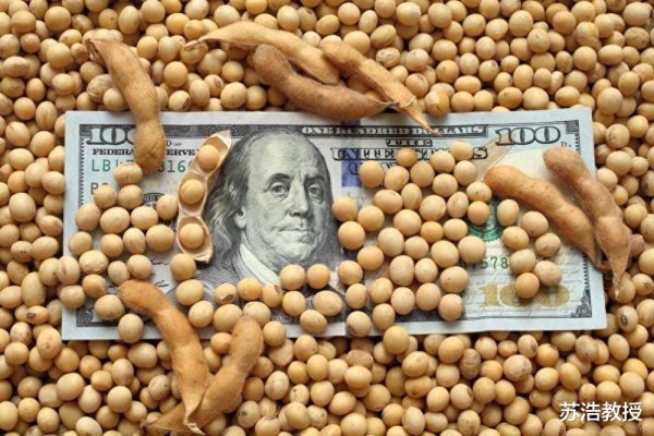 米牛配资 严查! 海关上手段了, 美国大豆一粒也别想来到中国
