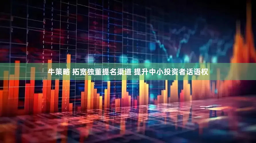 牛策略 拓宽独董提名渠道 提升中小投资者话语权